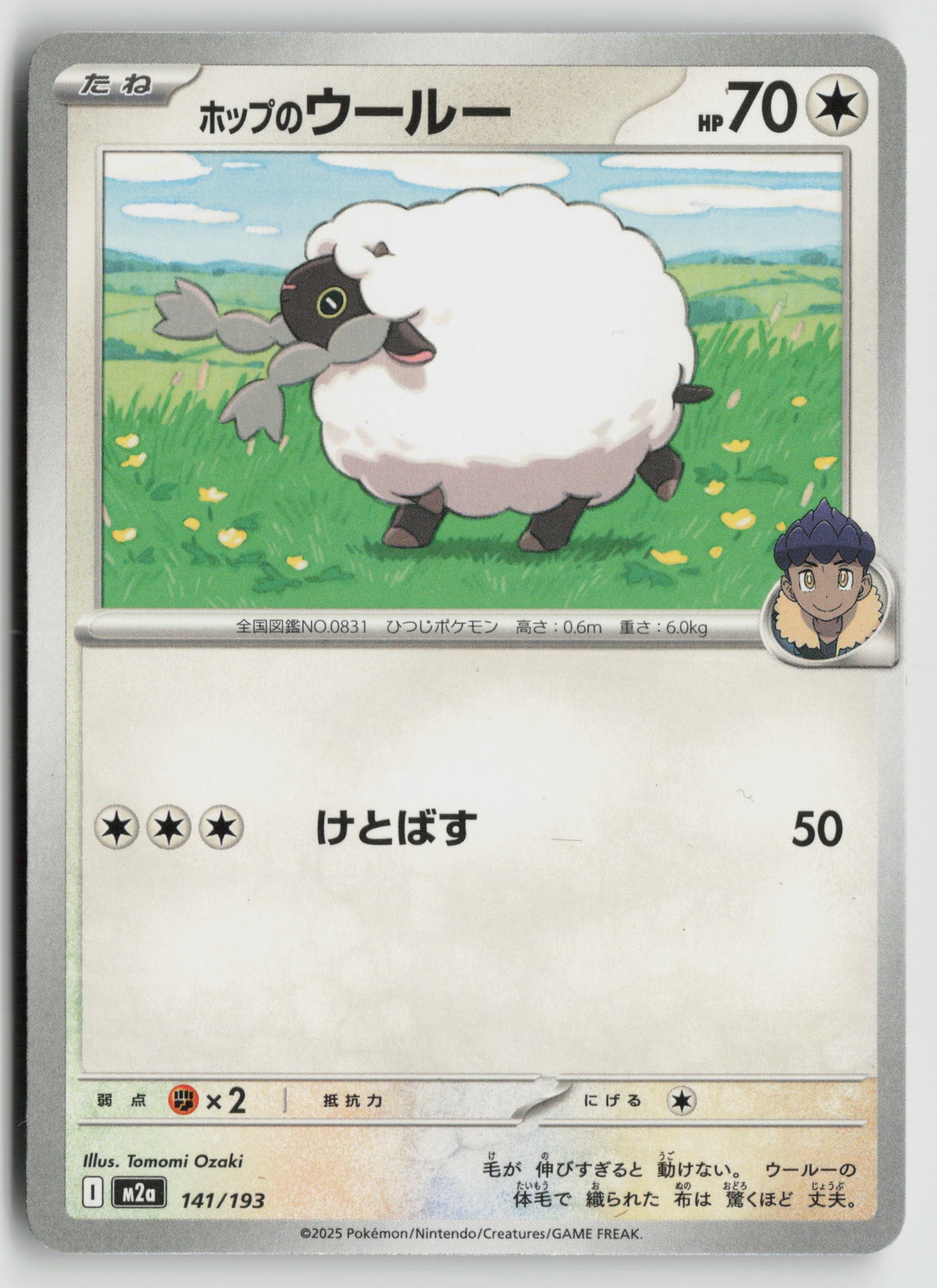 Hop's Wooloo M2a: High Class Pack: MEGA Dream ex 141/193 NM