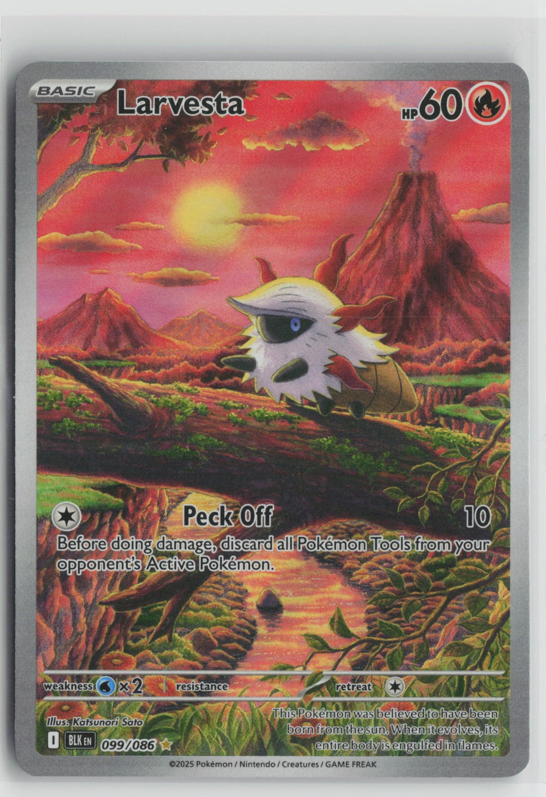 Larvesta Illustration Rare Holo BLK 099/086 NM