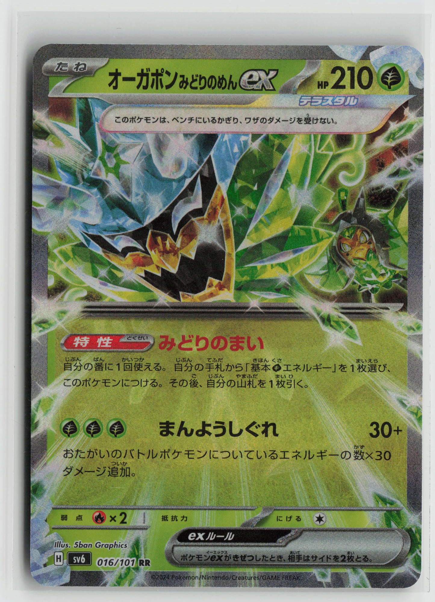 Teal Mask Ogerpon ex - Double Rare SV8a: Terastal Fest ex 020/187 NM