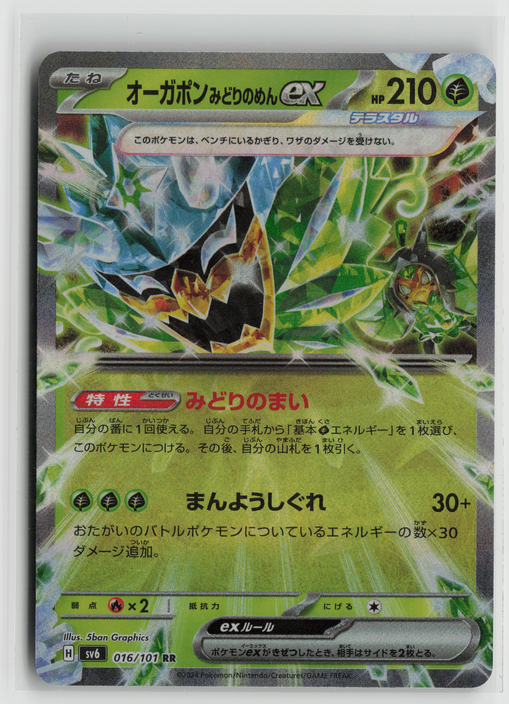 Teal Mask Ogerpon ex - Double Rare SV8a: Terastal Fest ex 020/187 NM