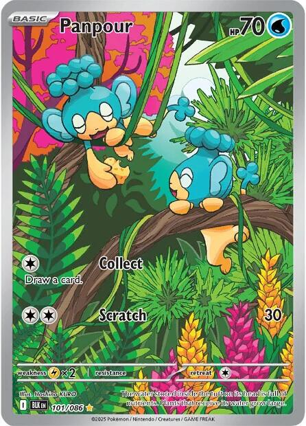Panpour - Black Bolt #101/086